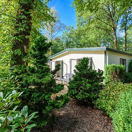 Luxe Familiehuis Veluwe 4-6 Persons Pool Kids Dog هونديرلو المظهر الخارجي الصورة
